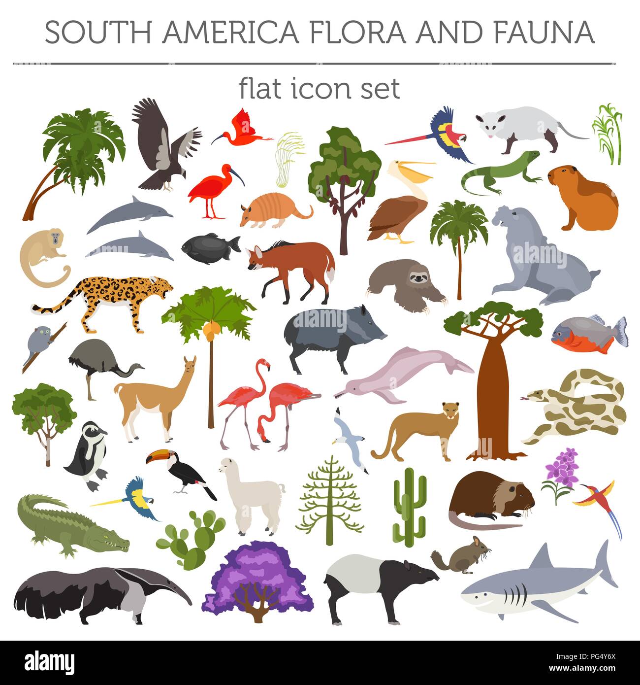 América del Sur la flora y la fauna elementos planos. Animales, aves y vida marina grande. Construya su geografía infografía colección. Ilustración vectorial Ilustración del Vector