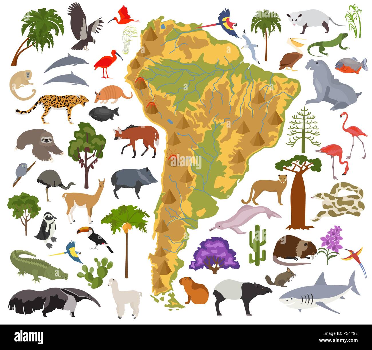América del Sur mapa de flora y fauna, elementos planos. Animales, aves y vida marina grande. Construya su geografía infografía colección. Vector illustrati Ilustración del Vector