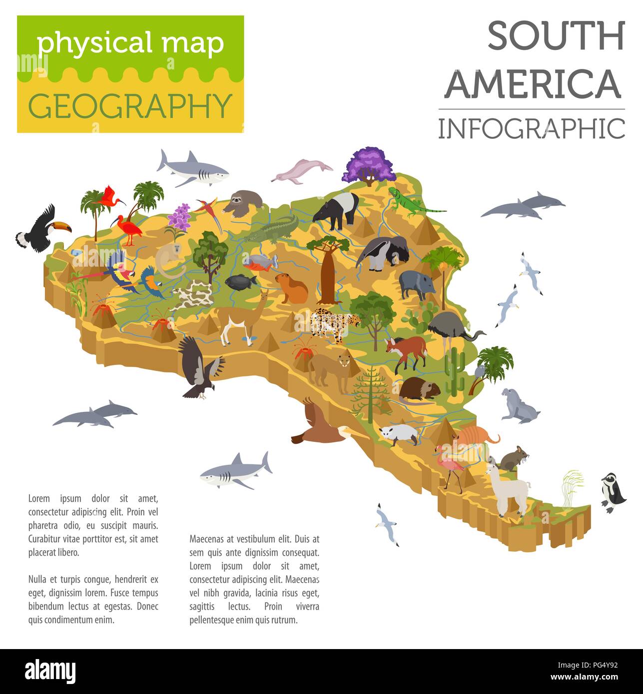 3D isométrica Sudamérica asignar elementos de flora y fauna. Animales, aves y vida marina. Construya su propia geografía infografía colección. Ilustración vectorial Ilustración del Vector