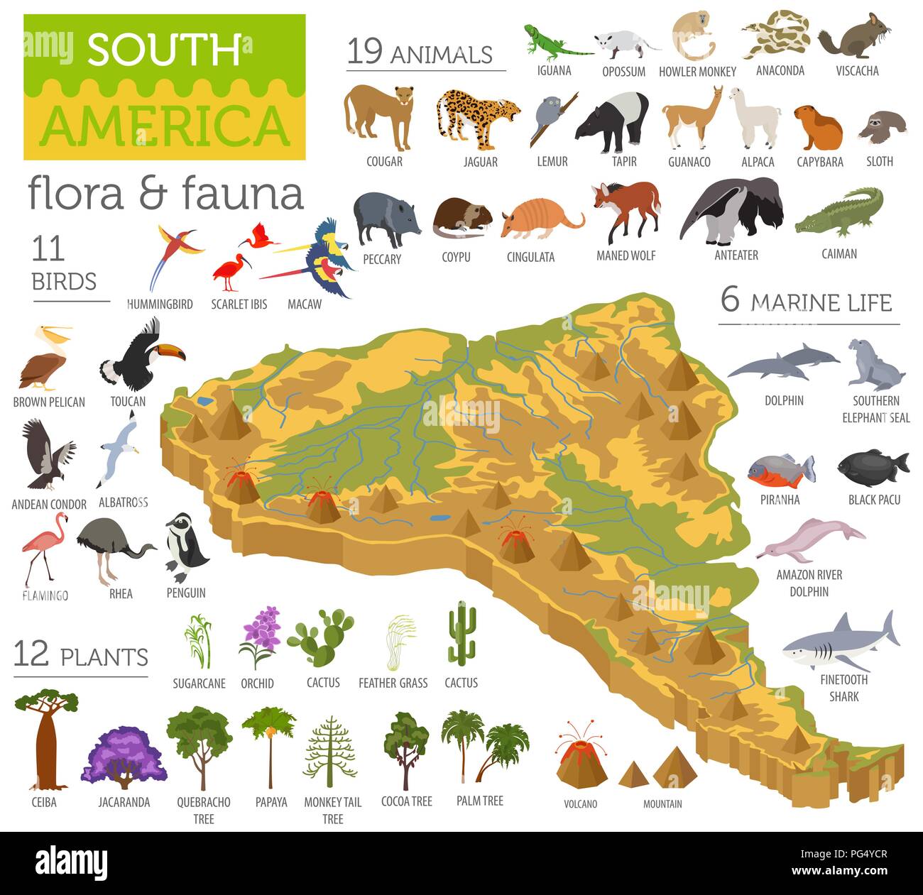 3D isométrica Sudamérica asignar elementos de flora y fauna. Animales, aves y vida marina. Construya su propia geografía infografía colección. Ilustración vectorial Ilustración del Vector
