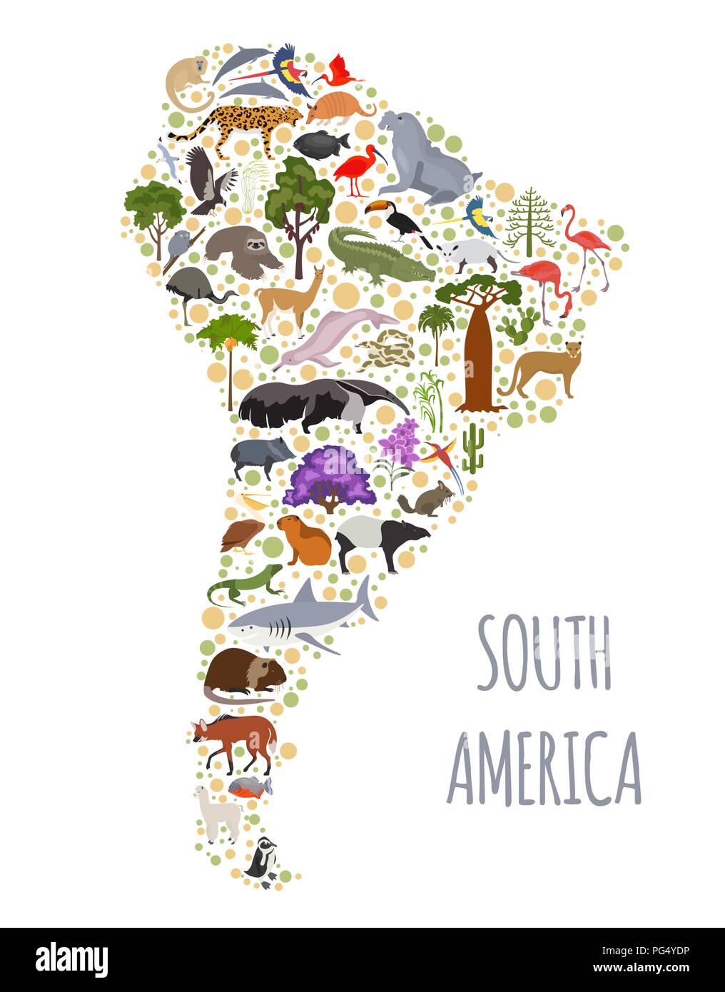 América del Sur mapa de flora y fauna, elementos planos. Animales, aves y vida marina grande. Construya su geografía infografía colección. Vector illustrati Ilustración del Vector