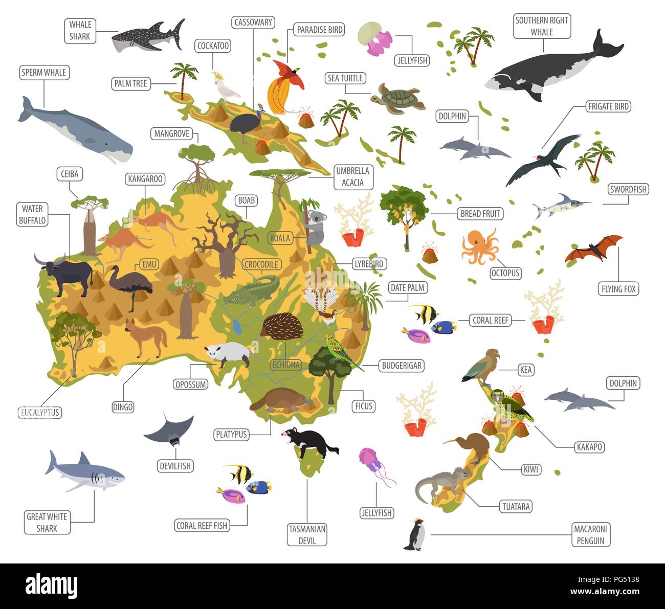 Australia y Oceanía Mapa de flora y fauna, elementos planos. Animales, aves y vida marina grande. Construya su geografía infografía colección. Il vectorial Ilustración del Vector