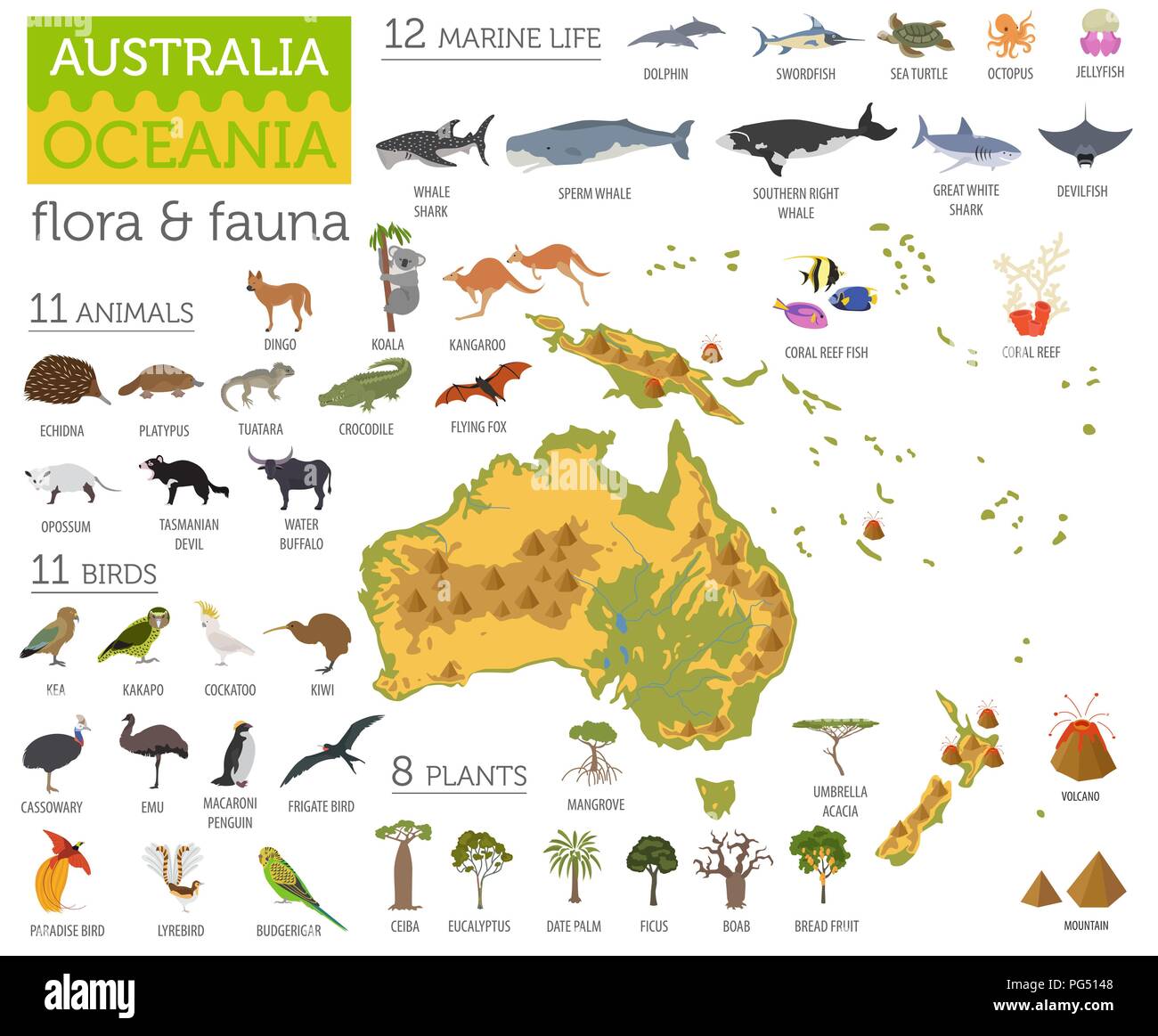 Australia y Oceanía Mapa de flora y fauna, elementos planos. Animales, aves y vida marina grande. Construya su geografía infografía colección. Il vectorial Ilustración del Vector