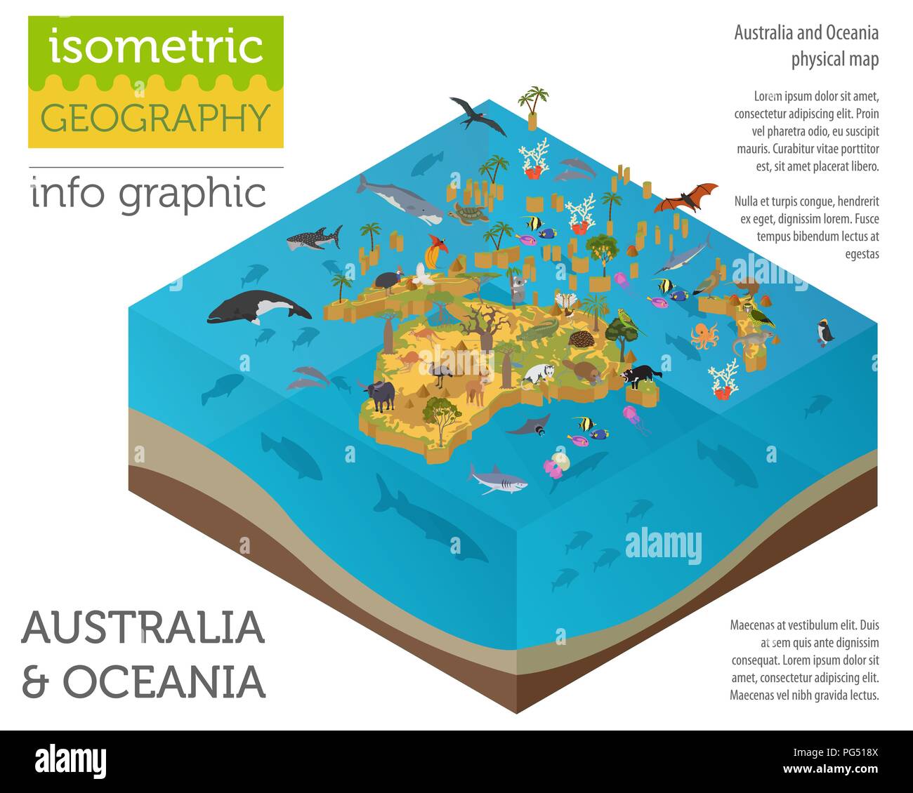 3D isométrica Australia y Oceanía asignar elementos de flora y fauna. Animales, aves y vida marina. Construya su propia geografía infografía colección. Vector Ilustración del Vector