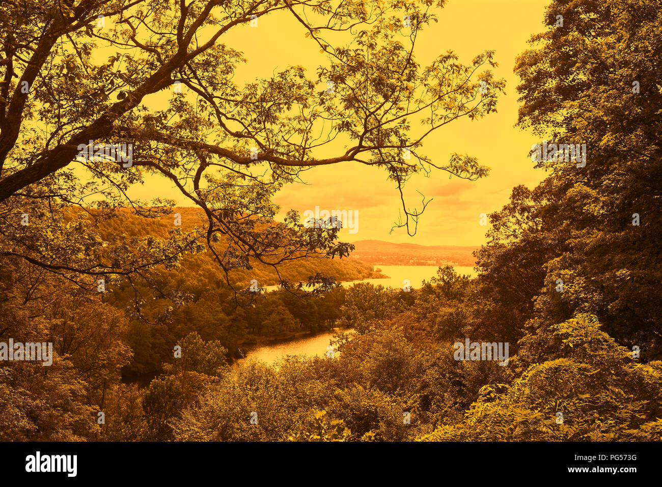 "Upstate vista panorámica de las montañas con agua abajo rodeado por arbustos y un árbol sobresaliente Foto de stock