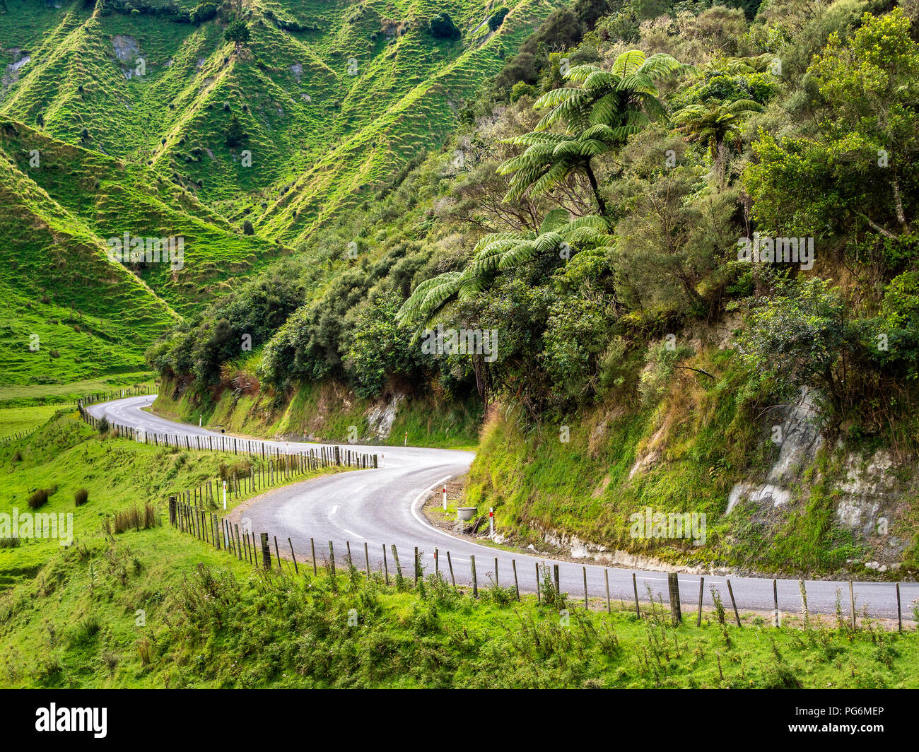 Nueva Zelanda, Isla Norte, región de Manawatu-Wanganui, Forgotten World Highway Foto de stock