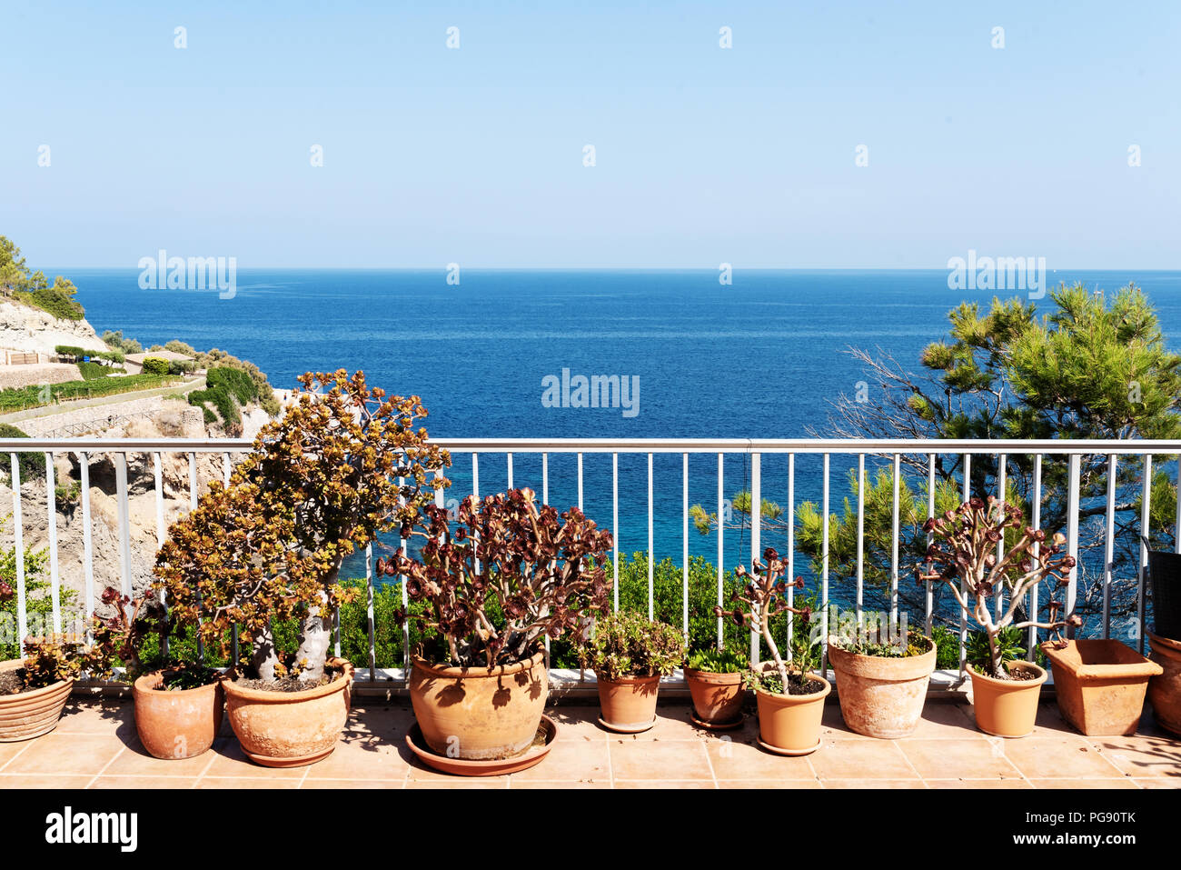 Plantas pottet en el patio contra el azul del cielo y del mar Foto de stock