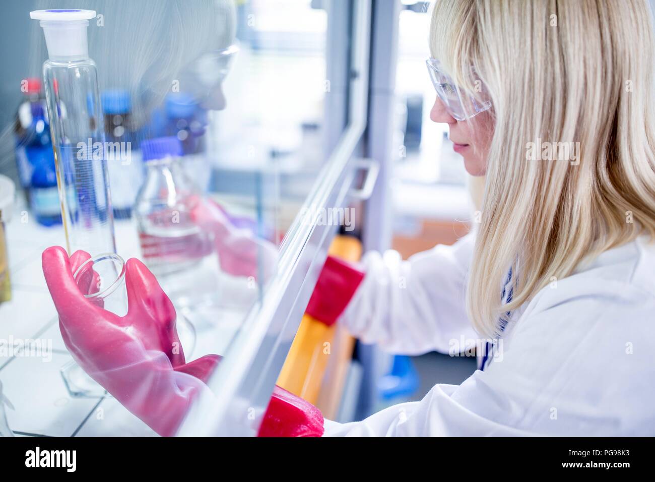 Técnico de laboratorio utilizando una campana de flujo laminar, guantes gruesos y gafas de seguridad al trabajar con productos químicos peligrosos. Foto de stock