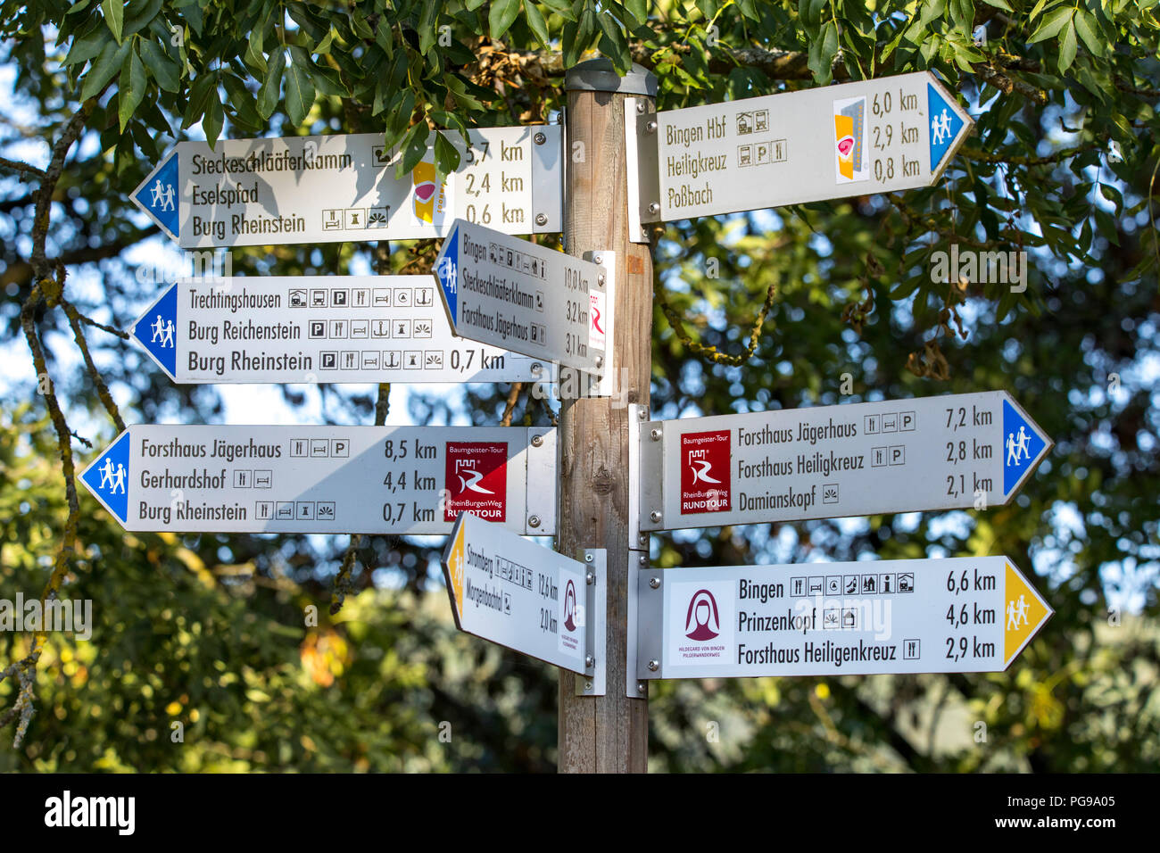 Señalización de diferentes rutas de senderismo en el Rheingau, Patrimonio de la Humanidad por la UNESCO, el valle del Rin Medio superior cerca de Bingen, Foto de stock
