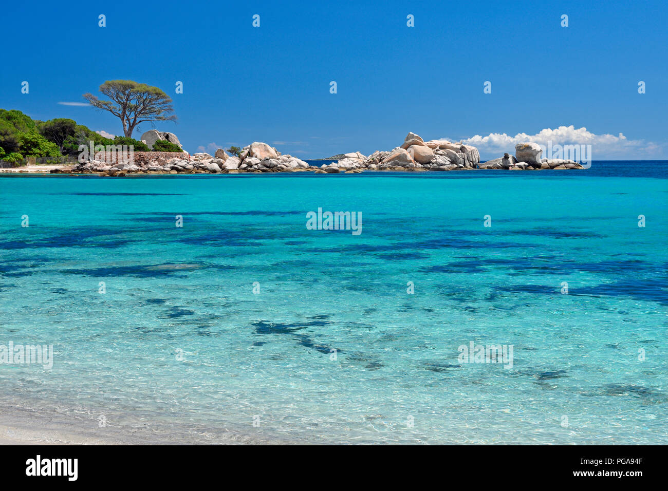 Playa de Palombaggia color verde turquesa mar y rocosas, Porto Corse-du-Sud departamento, Córcega, Francia de stock - Alamy