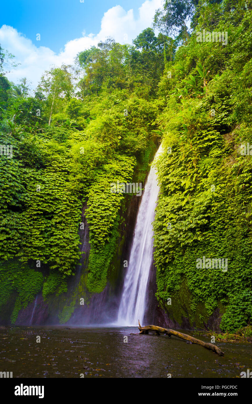 Cascada Escondida en la selva tropical. Munduk, Bali, Indonesia Fotografía  de stock - Alamy