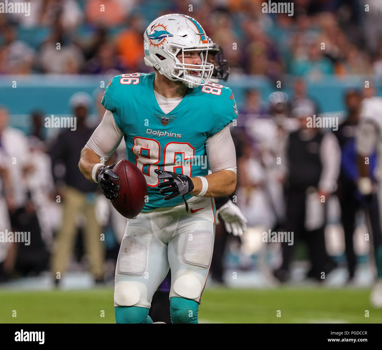 Miami Gardens Florida Usa 25 Aug 2018 Miami Dolphins Mike Gesicki Apretado Final 86 En Accion Durante La Primera Mitad De La Pretemporada Juego De Futbol Americano De La Nfl Entre Los