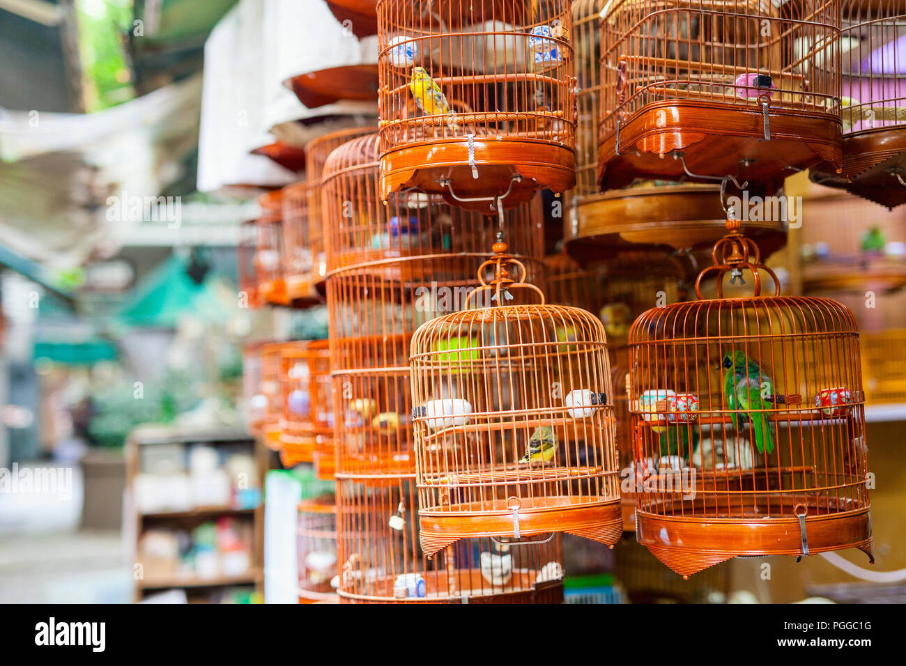 Las aves en jaulas para su venta en el mercado de aves, Kowloon, Hong Kong, popular destino turístico. Foto de stock