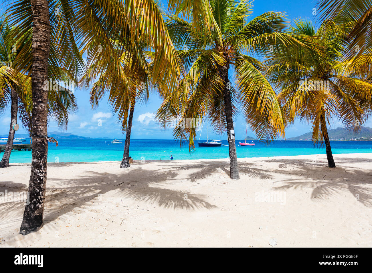 Tropical idílica playa de arena blanca, palmeras y aguas turquesas del mar Caribe agua en la exótica isla de San Vicente y las Granadinas Foto de stock