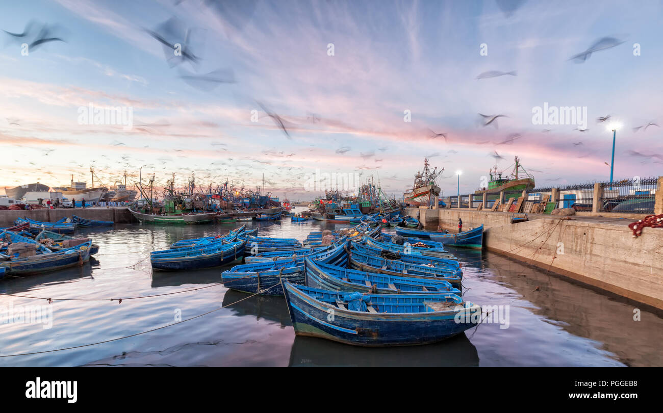 Essaouira Marruecos harbour con Interesante desenfoque de gaviotas sobrevolando azul de coloridos botes de remos. Los colores del atardecer. Foto de stock