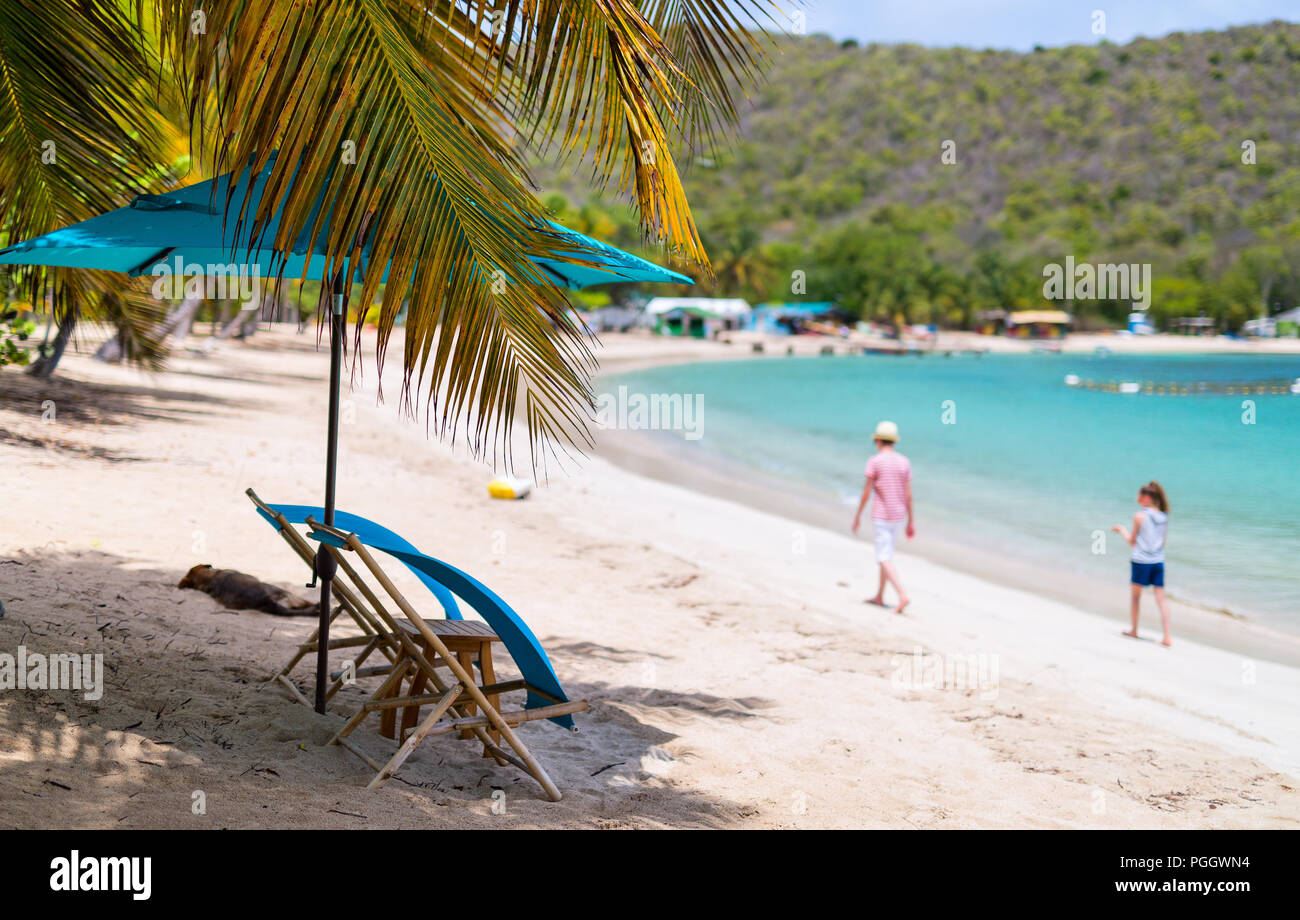 Tropical idílica playa de arena blanca, palmeras y aguas turquesas del Mar Caribe en la isla de Mayreau agua en San Vicente y las Granadinas Foto de stock