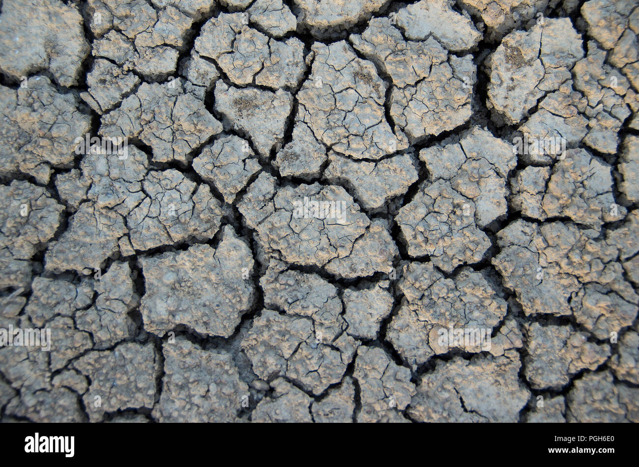 Los cambios climáticos. Textura de suelo seco debido a la sequía. El calentamiento global. Foto de stock