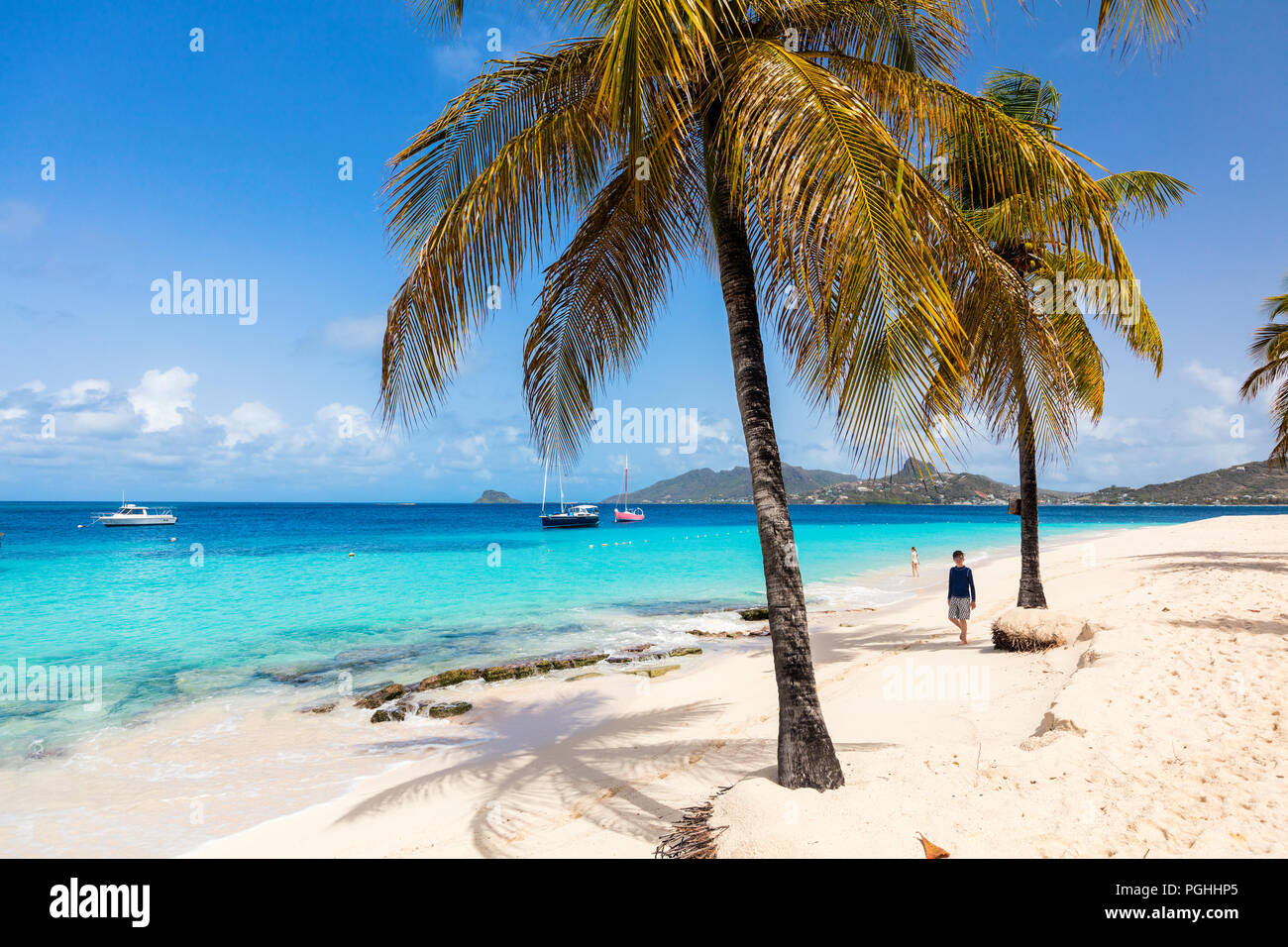 Tropical idílica playa de arena blanca, palmeras y aguas turquesas del Mar Caribe en la isla de Mayreau agua en San Vicente y las Granadinas Foto de stock