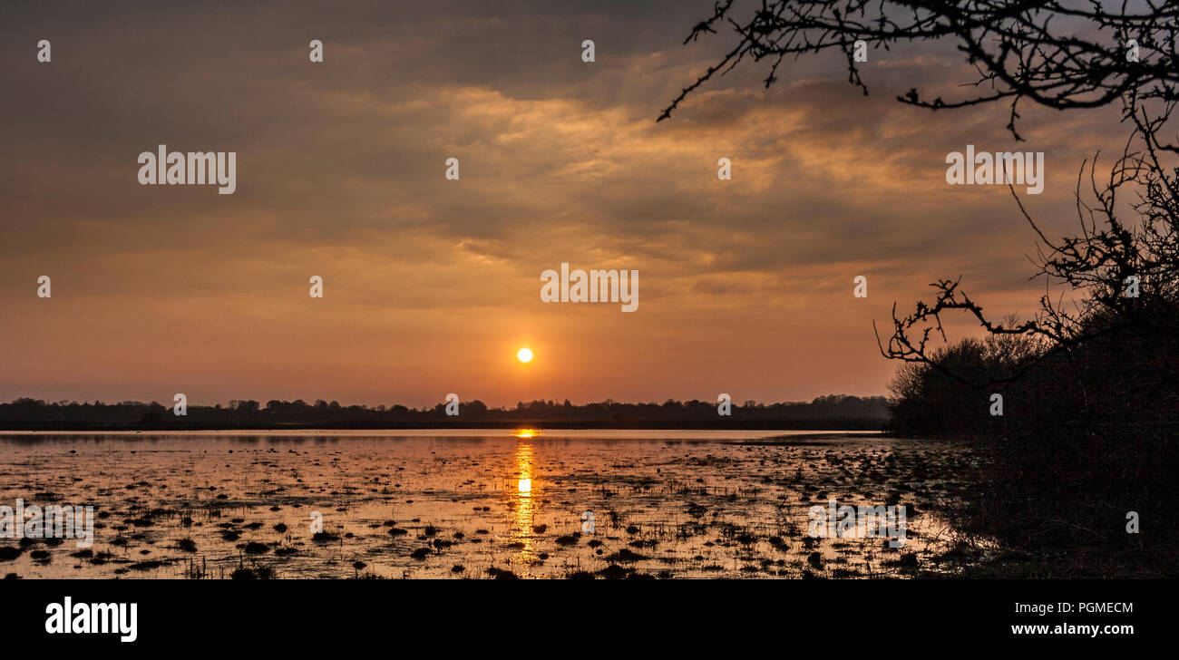 Puesta de sol sobre el Lago Ree Athlone Irlanda Foto de stock