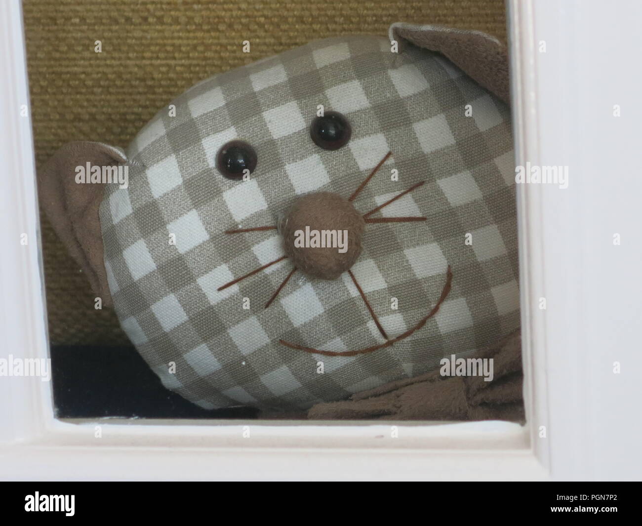 Cerca de una cara sonriente, feliz y bigotes sobre esta tela cat realizados en un tejido de tela de algodón a cuadros, como compañeros, a través de la puerta. Foto de stock