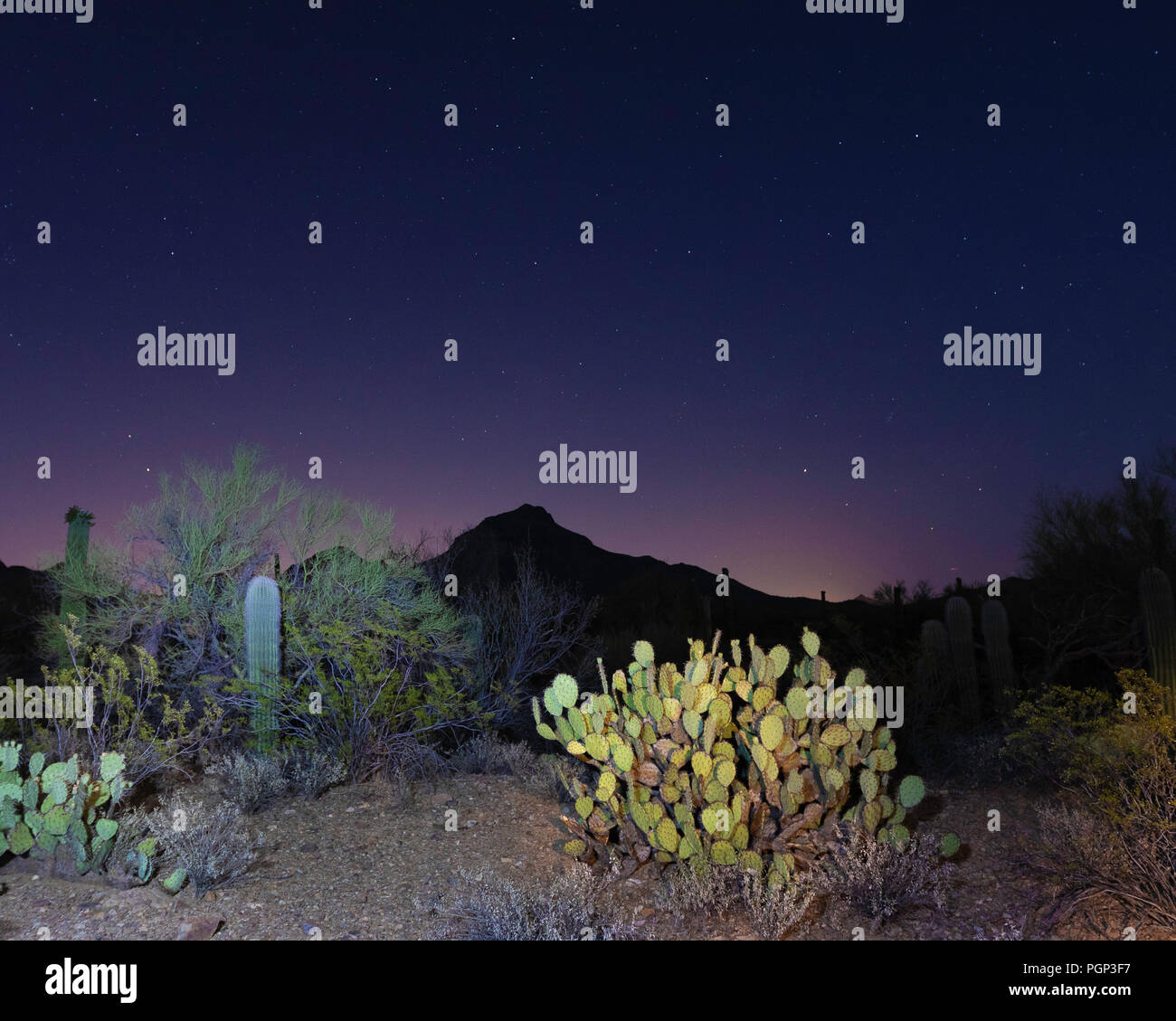 Cielo de la noche, la noche estrellada, Tucson, Arizona Fotografía de