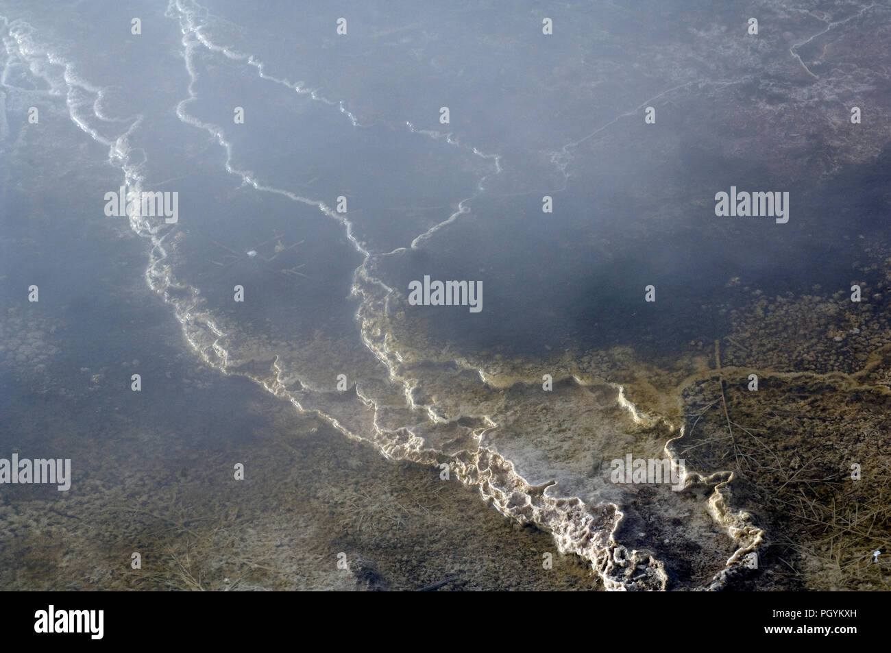 USA - Yellowstone - Hot Spring - Fuente de piedra caliza d'eau chaude - concreción calcaire Foto de stock