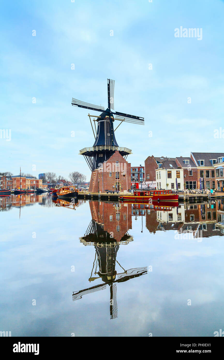 Molino y casas tradicionales se refleja en el agua en la ciudad de Haarlem, Holanda, Países Bajos Foto de stock