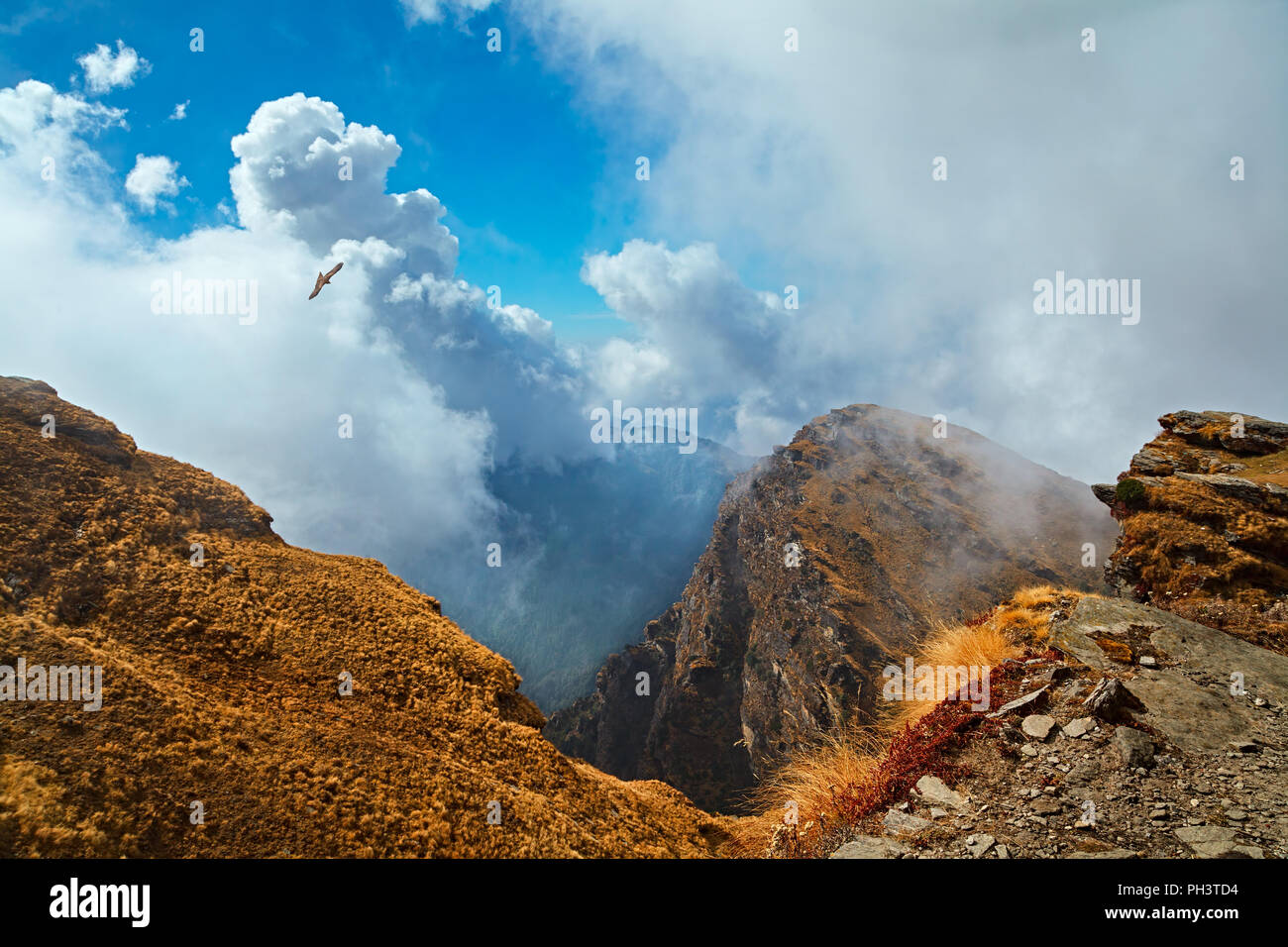 Vista aérea de las montañas con nubes y un águila volando. Vista desde una ladera del monte Chandrashila, Himalaya, Uttarakhand, India Foto de stock