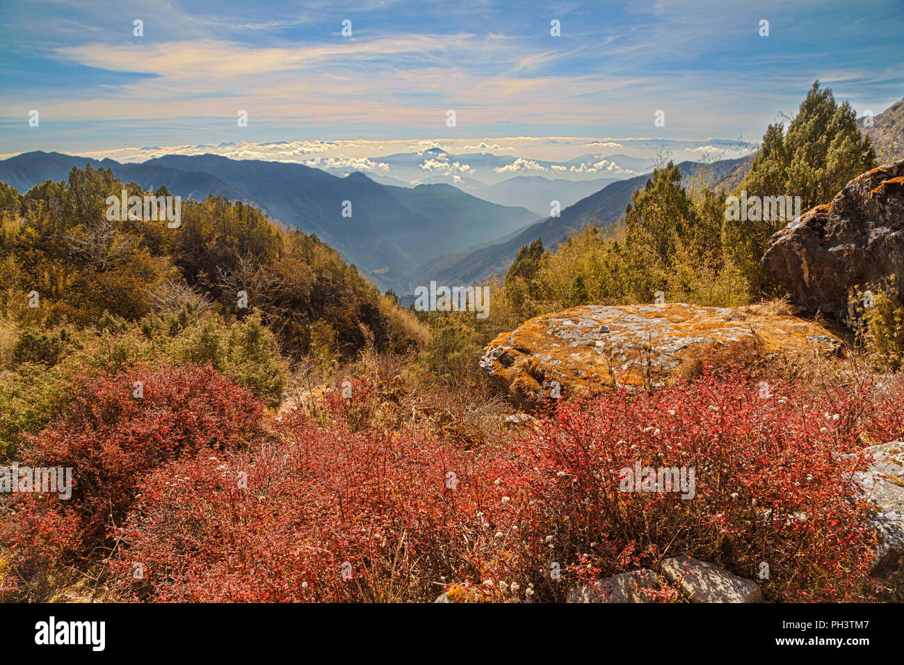 Gran paisaje de las montañas del Himalaya con vegetación roja y rocas en primer plano y amplia vista a las montañas en el fondo. El Himalaya, Nepal Foto de stock