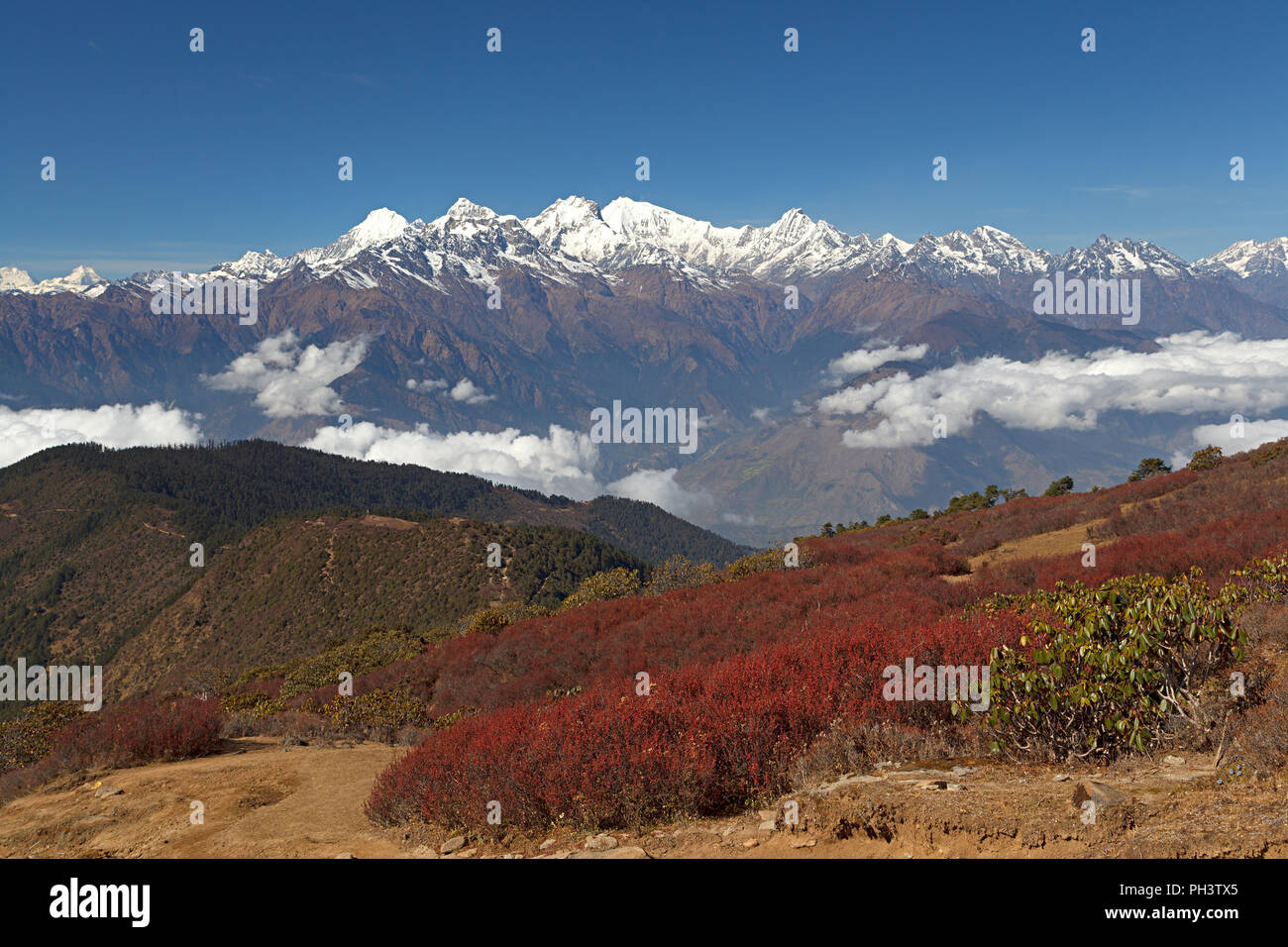Grand montañas nevadas en el fondo con vegetación roja en primer plano. Macizo montañoso del Himalaya. Ganesh Himal y Manaslu Himal cordillera Foto de stock