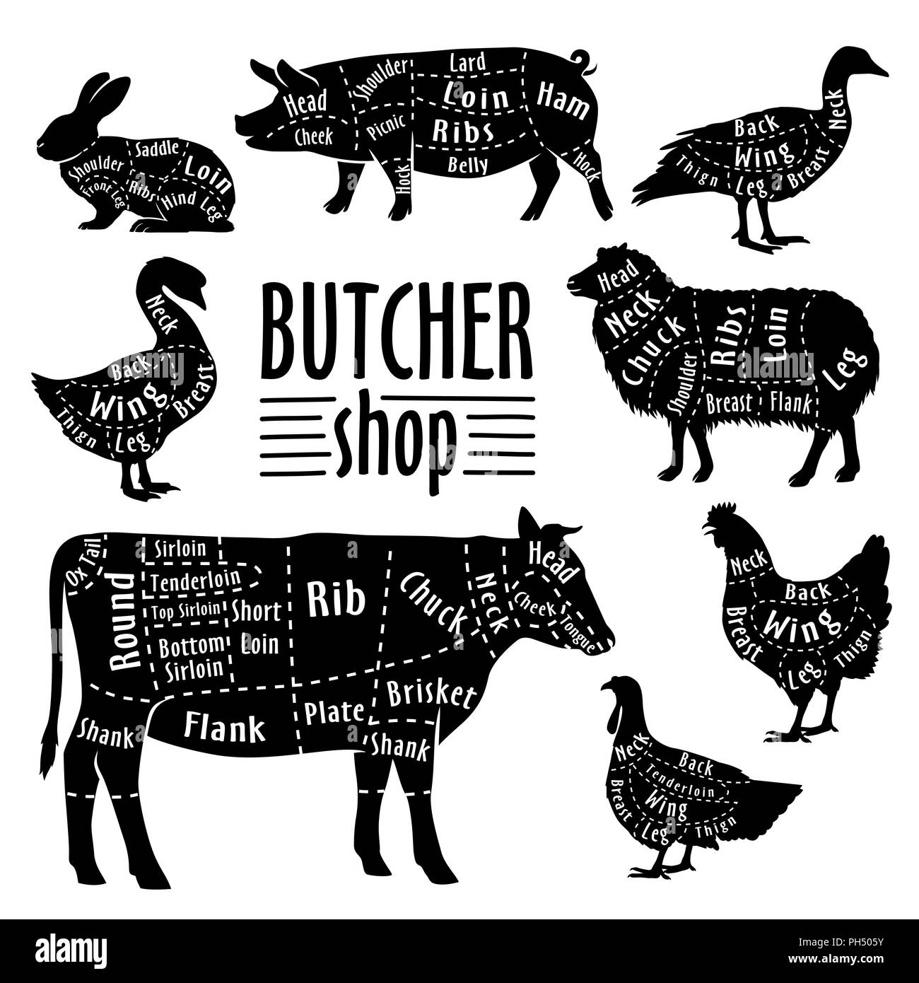 Cortar la carne de los animales, diagrama de carnicero. Conjunto de corte de carne Ilustración del Vector