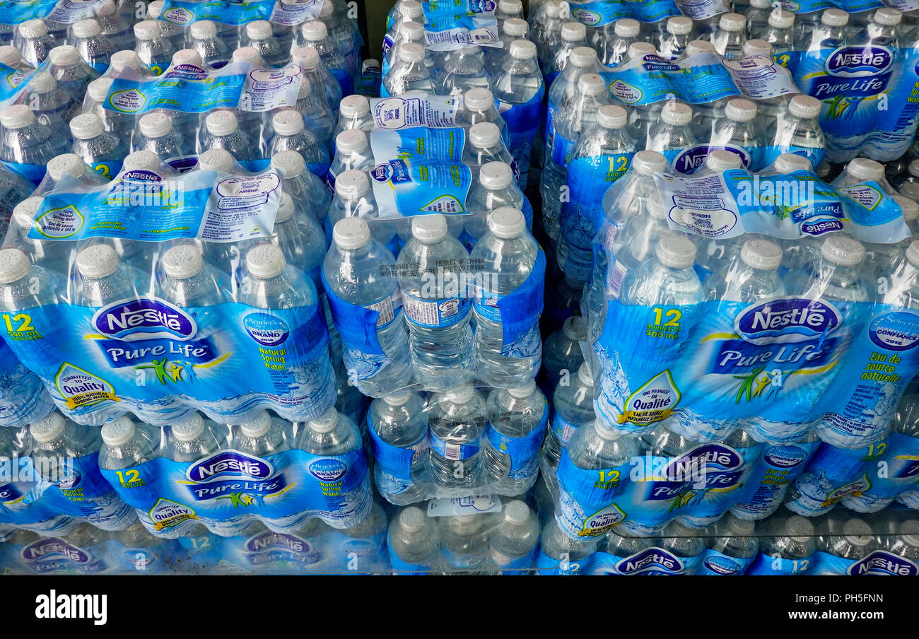 Nestle Pure Life - Agua purificada de manantial embotellada de 8 onzas,  paquete de 24 botellas de agua embotellada, mini botellas de agua de 8  onzas