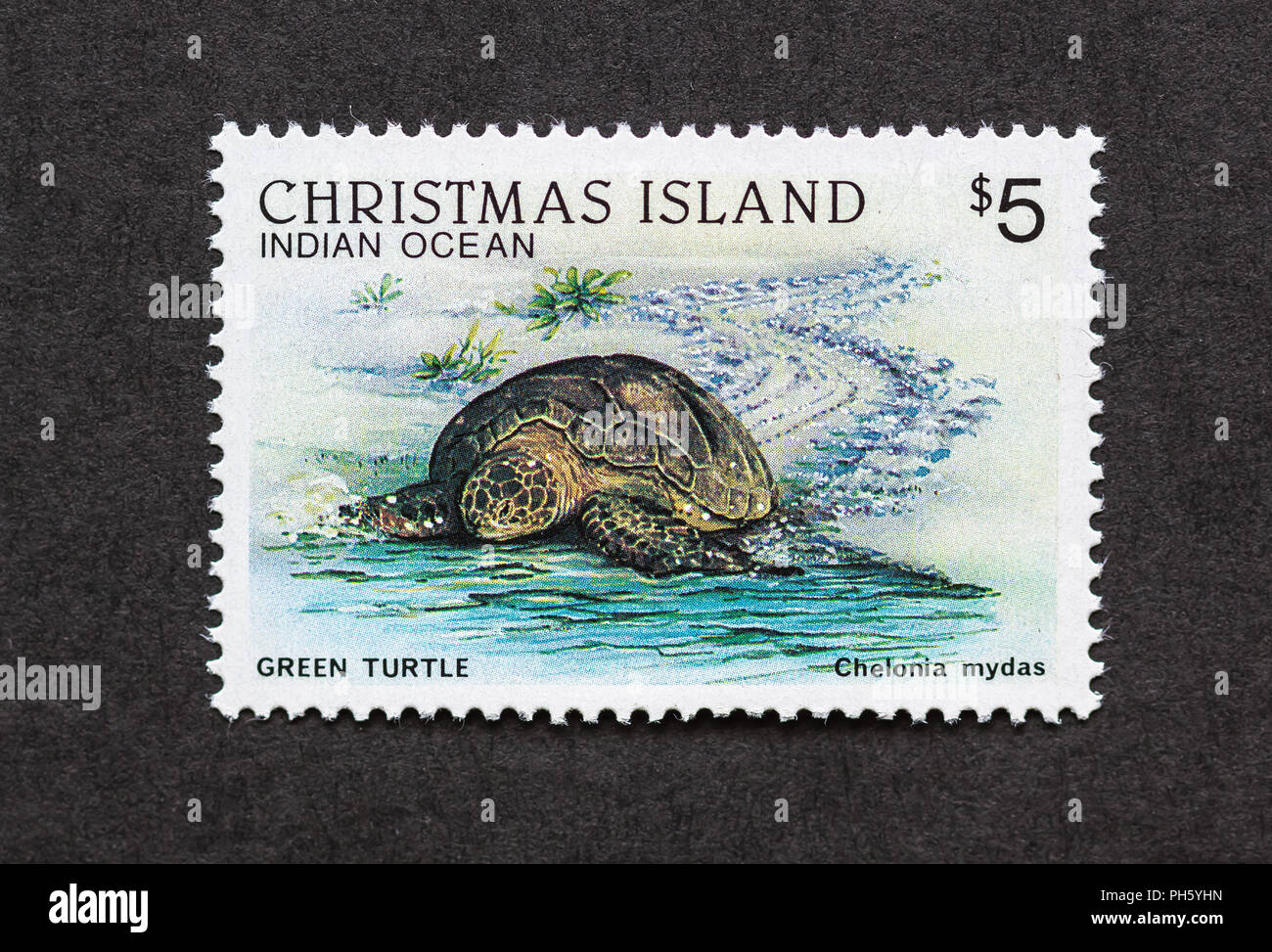 Solo $5 sellos menta desde la Isla de Navidad ofrecen una tortuga verde  (Chelonia mydas Fotografía de stock - Alamy