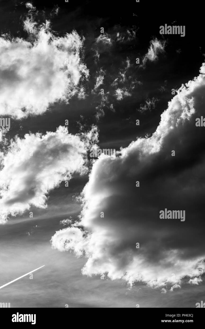Las estelas de condensación de avión; abultadas nubes cumulus contra un cielo azul claro en el centro de Colorado, EE.UU. Foto de stock
