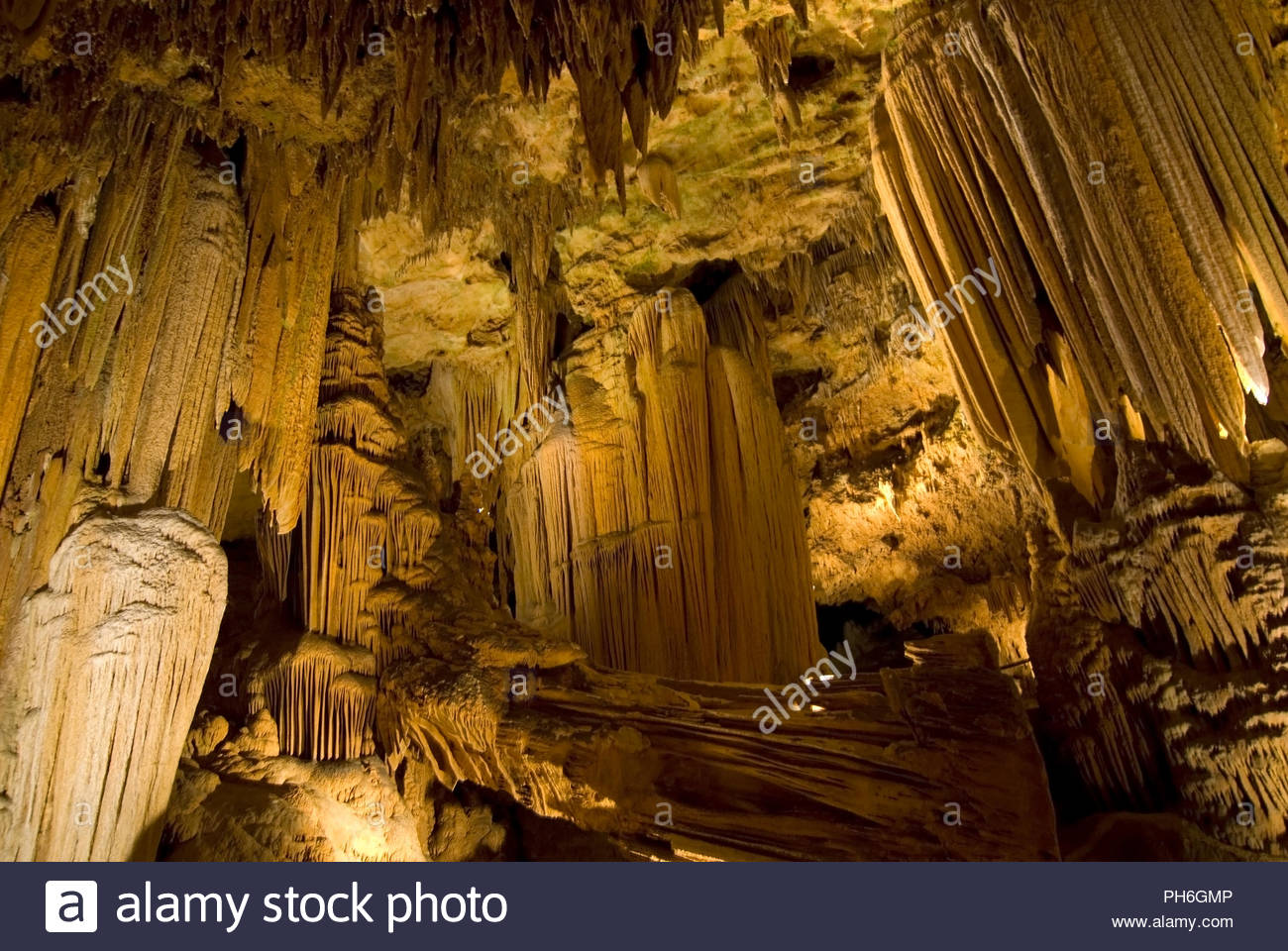 Resultado de imagen de Estalactitas que adornan el techo de las cavernas Luray, Virginia