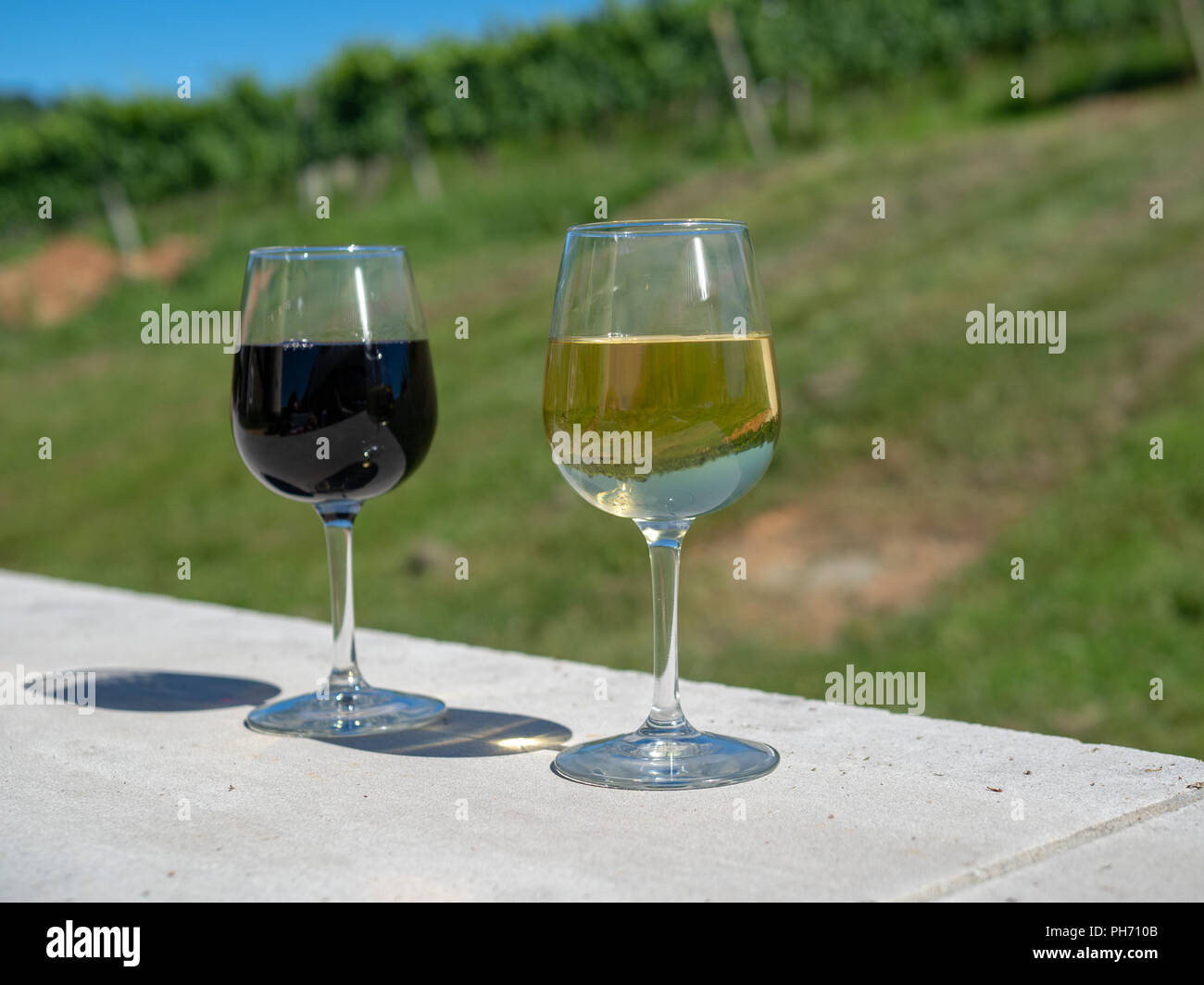 Vasos de vino tinto y blanco día soleado en frente de la bodega viñas de  uva Fotografía de stock - Alamy