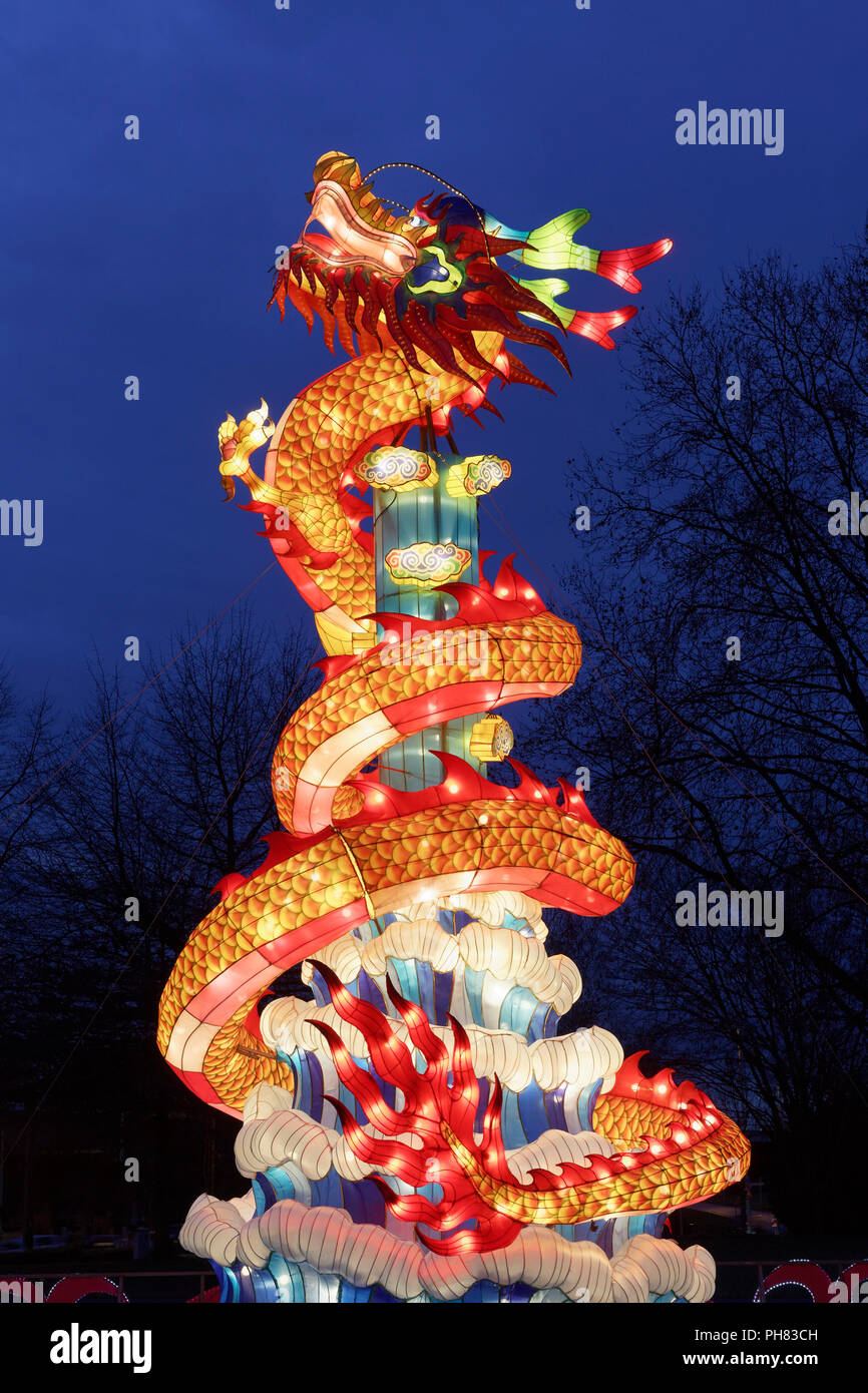 Dragón Chino, figura iluminada, la luz de la instalación, China Light Festival, Zoológico de Colonia, Colonia, Renania del Norte-Westfalia Foto de stock