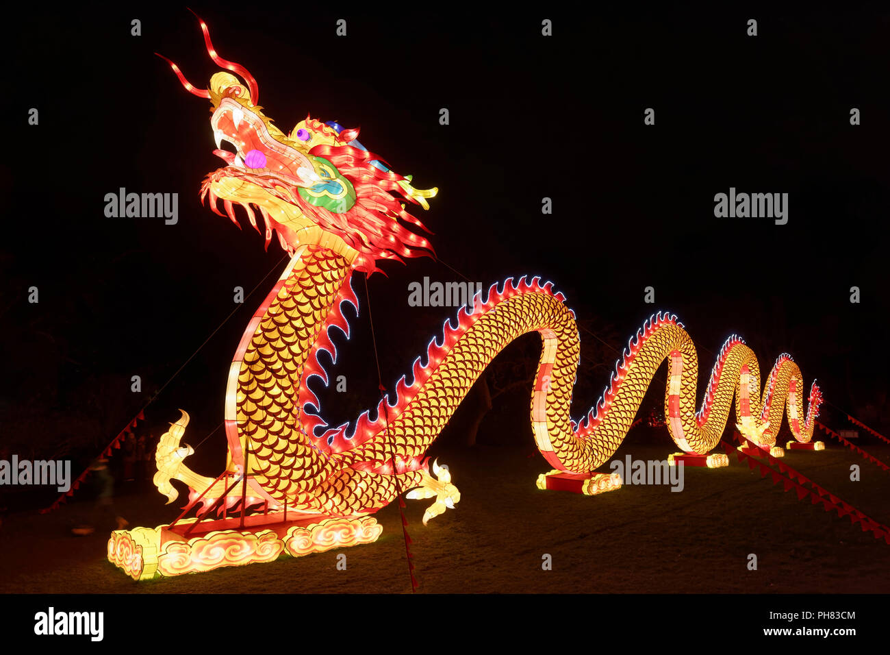 Dragón Chino, papel ilustración, brillante, de color, luz, instalación China Light Festival, Zoológico de Colonia, Colonia. Foto de stock