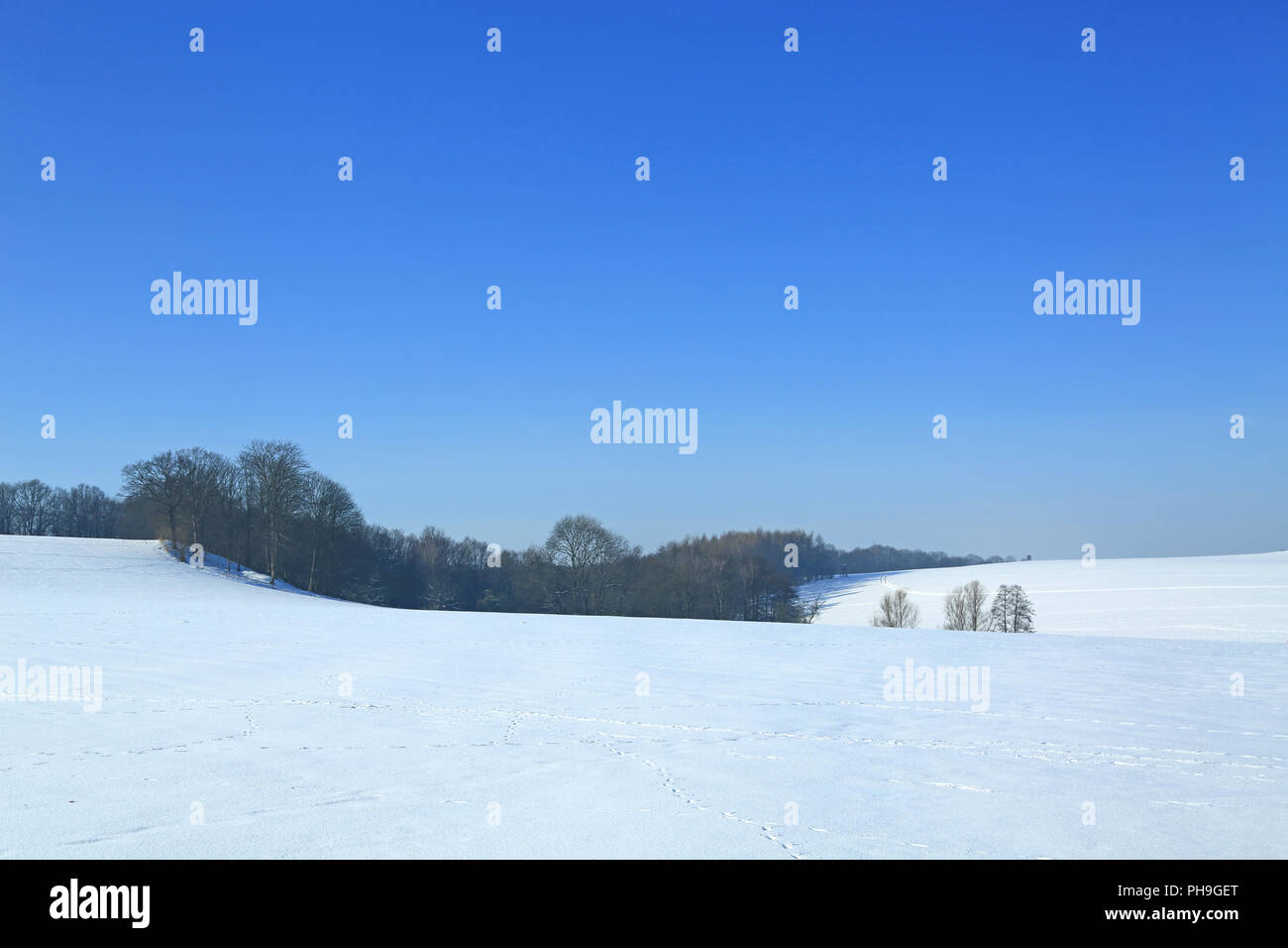 Paisaje de invierno Foto de stock