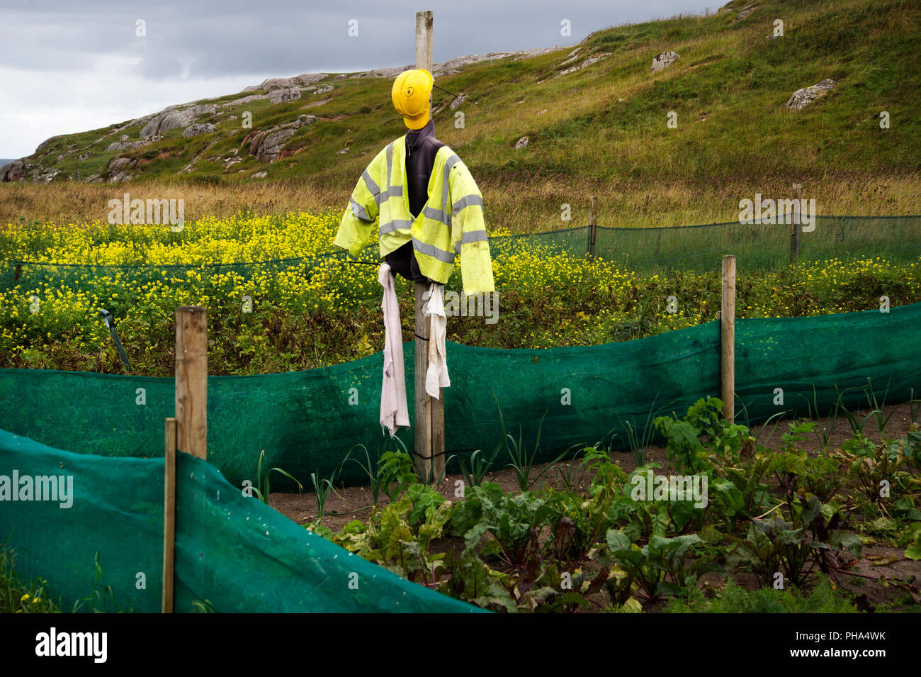 Escocia. Sutherland. Oldshoremore . El Espantapájaros, llevar casco y chaleco de alta visibilidad Foto de stock