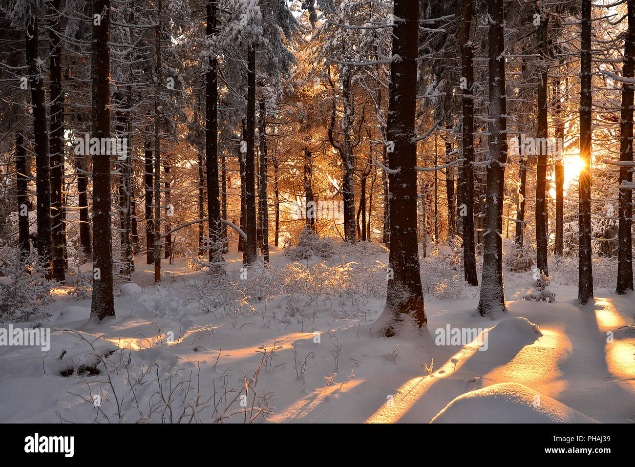 Paisajes invernales cubiertos de nieve helada frialdad Fotografía de stock  - Alamy