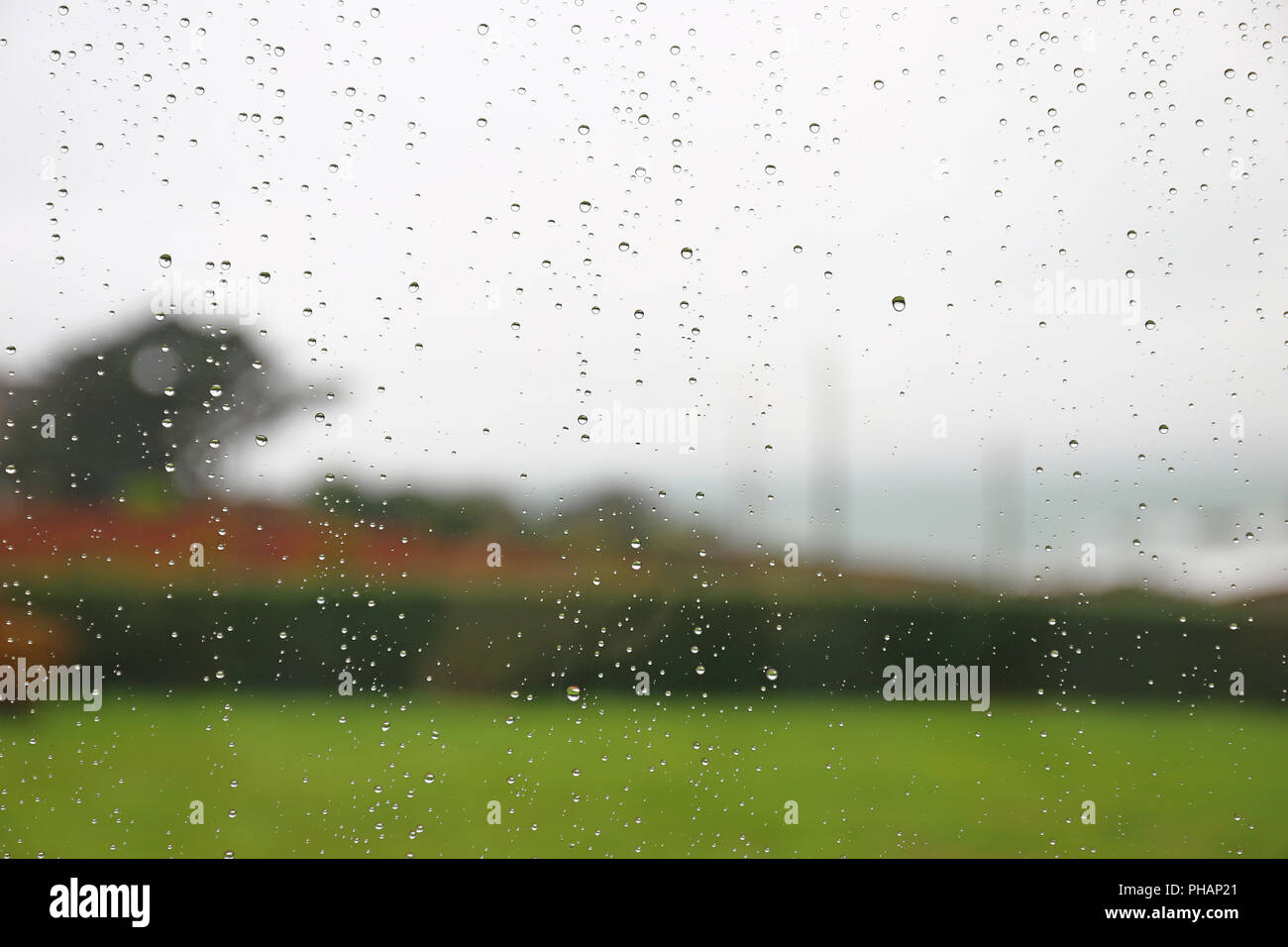 Las gotas de lluvia sobre un panel de ventana Foto de stock