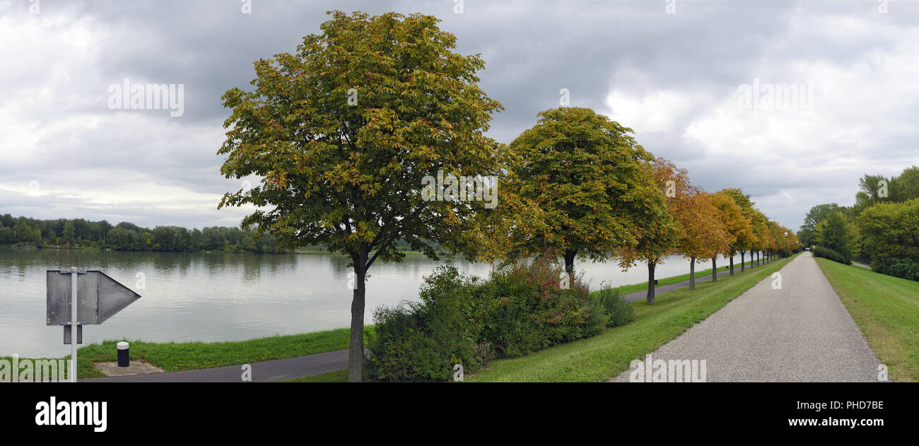 Calle con árboles de castaña de caballo en el río Danubio Foto de stock