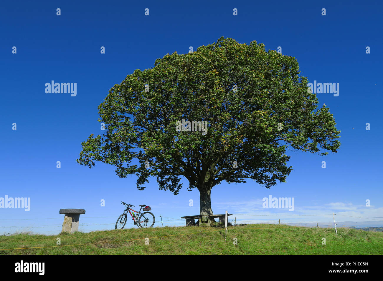 Limetere; paisaje; bicicleta; pausa Foto de stock