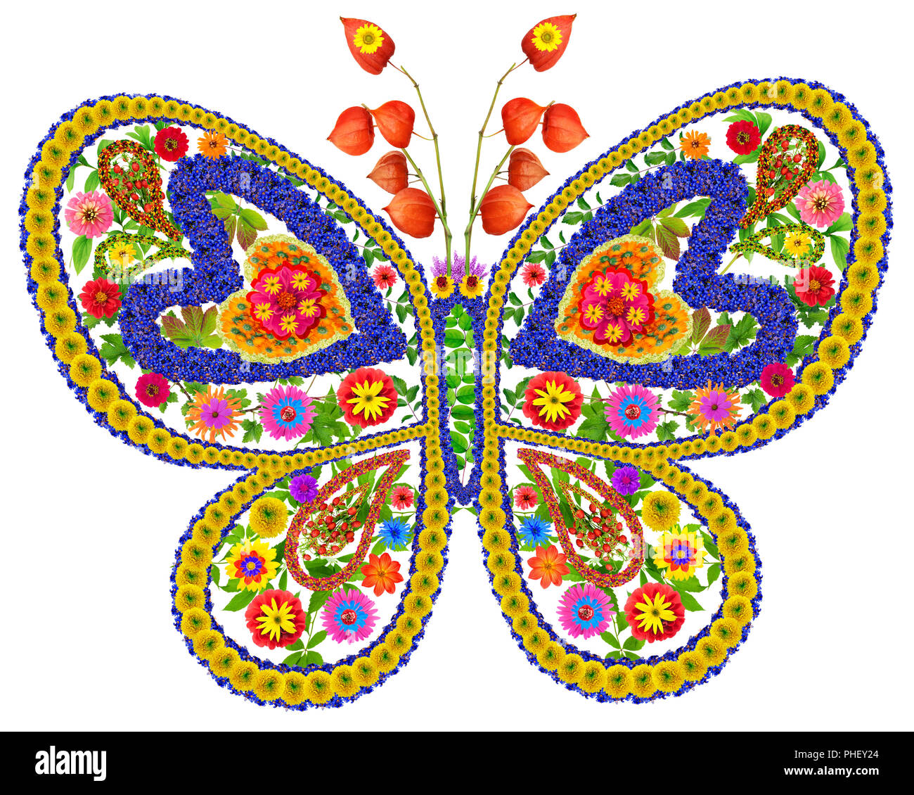 Mariposa en amor de flores de verano Foto de stock