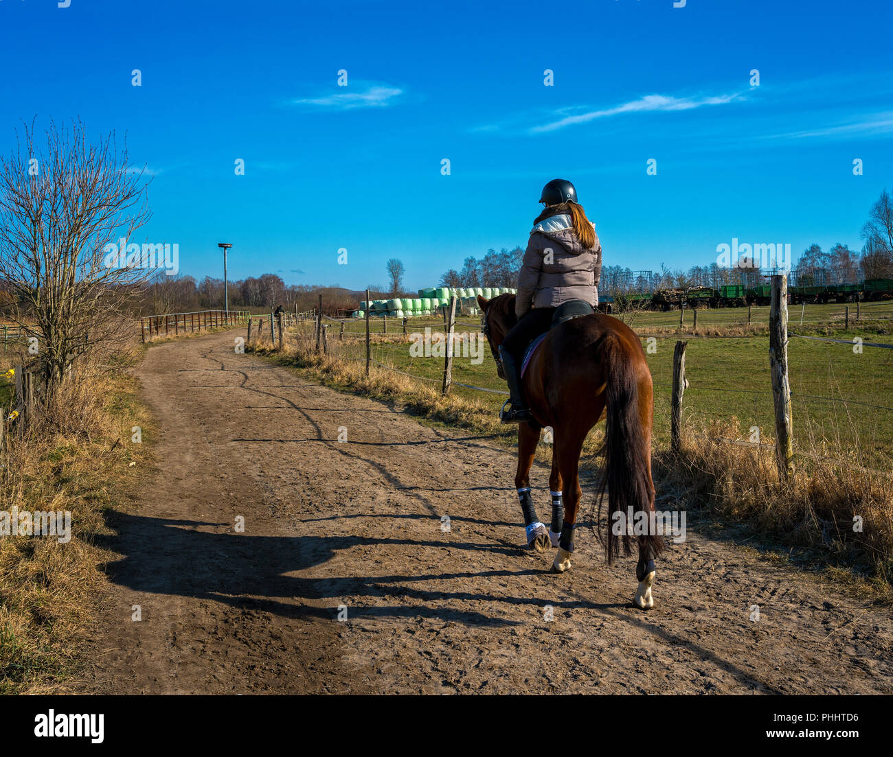 Montar a caballo en el salvaje en las temperaturas de invierno Foto de stock
