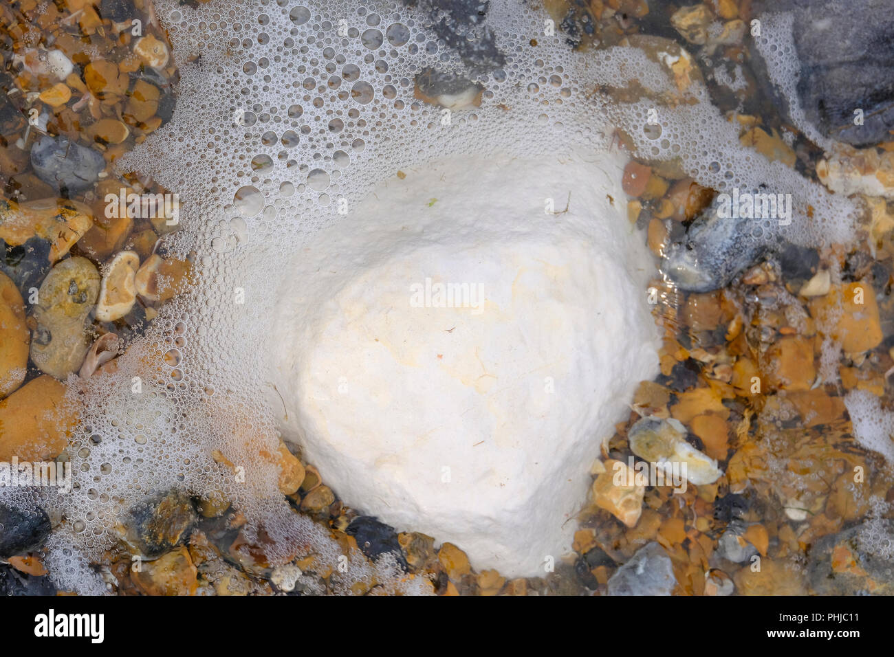 Gran Piedra blanco tiza en Pebble Beach en East Preston, West Sussex Foto de stock