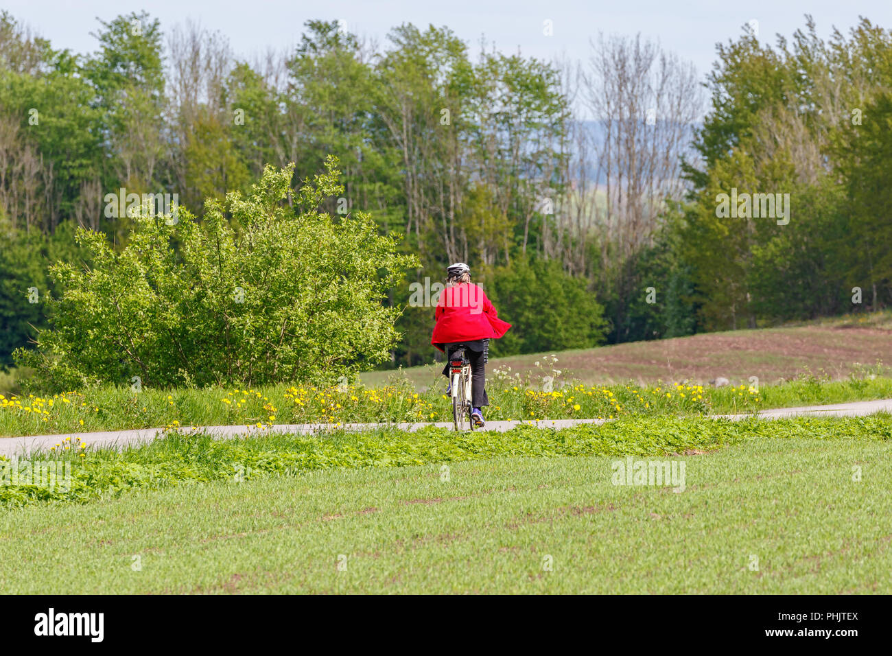 Ciclista en una carretera rural de verano Foto de stock