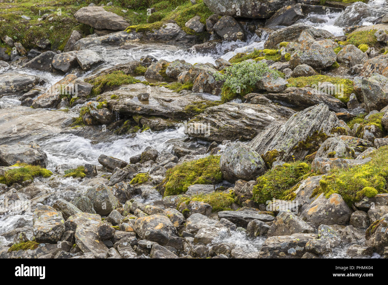 El agua que fluye en un arroyo de montaña Foto de stock