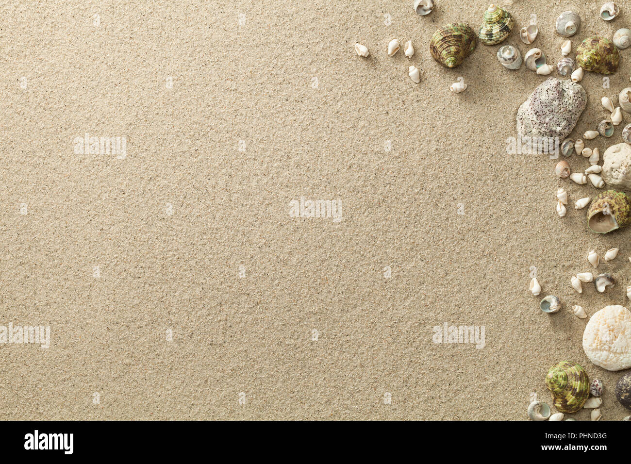 La playa de arena, con conchas y piedras de fondo Foto de stock